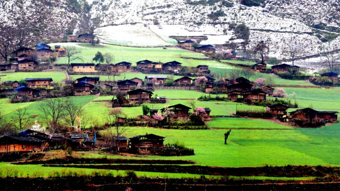 雾里 罗金合 摄