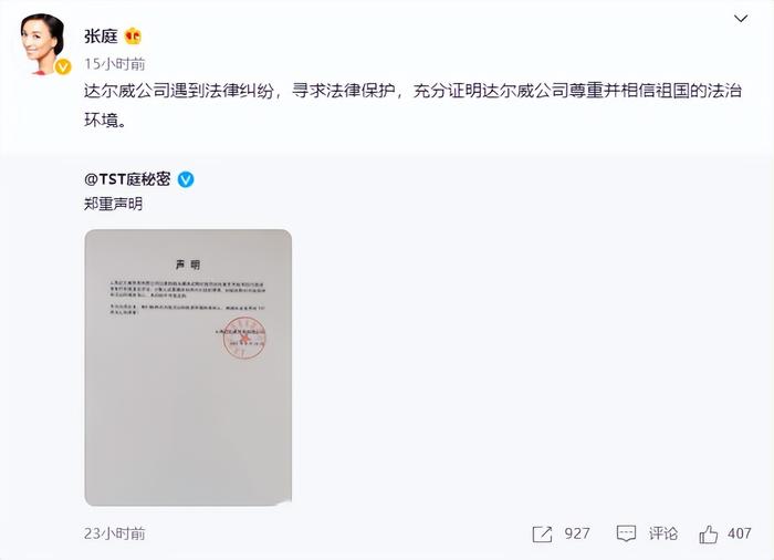 面对这种情况,5月27日,张庭,林瑞阳通过公司账号发布了声明,辟谣了反