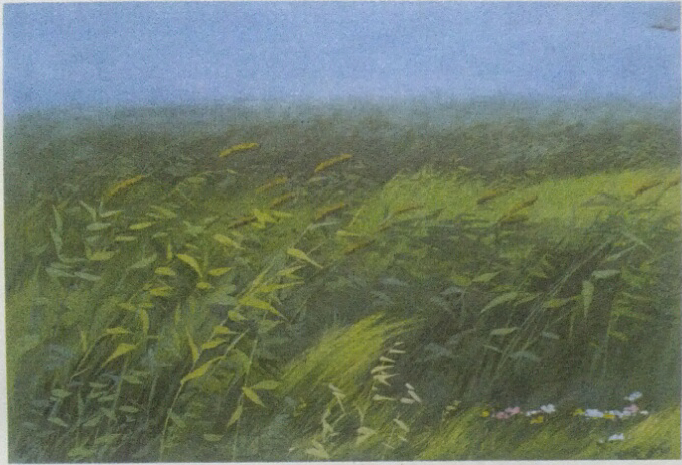 看了这幅水彩插图就会想起