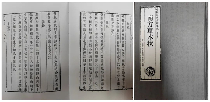 《南方草木状》（来源: 茂名市人民政府地方志办公室）