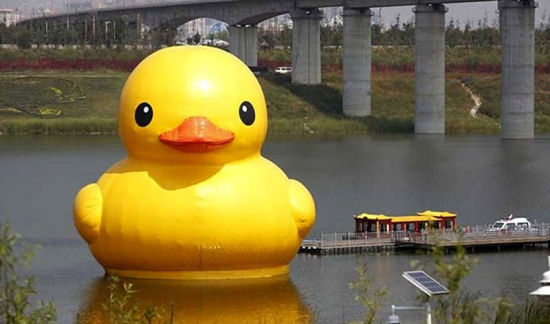 2013年，荷兰著名的概念艺术师弗洛伦泰因·霍夫曼设计的“大黄鸭”出现在北京颐和园昆明湖上。  北京青年报 图