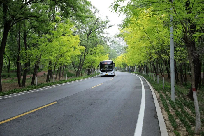 图自北戴河新区