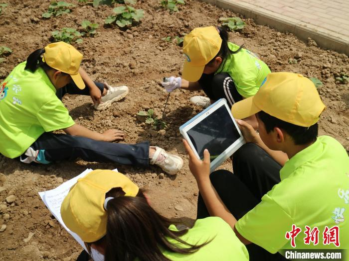 吴忠市利通区第十六小学学生利用智能平板进行耕作学习与实践。　李元昊 摄