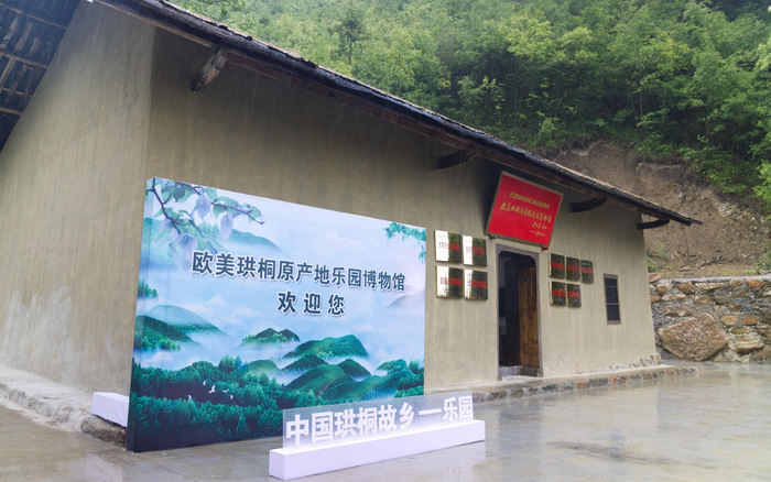 欧美珙桐原产地乐园博物馆外景。受访者供图