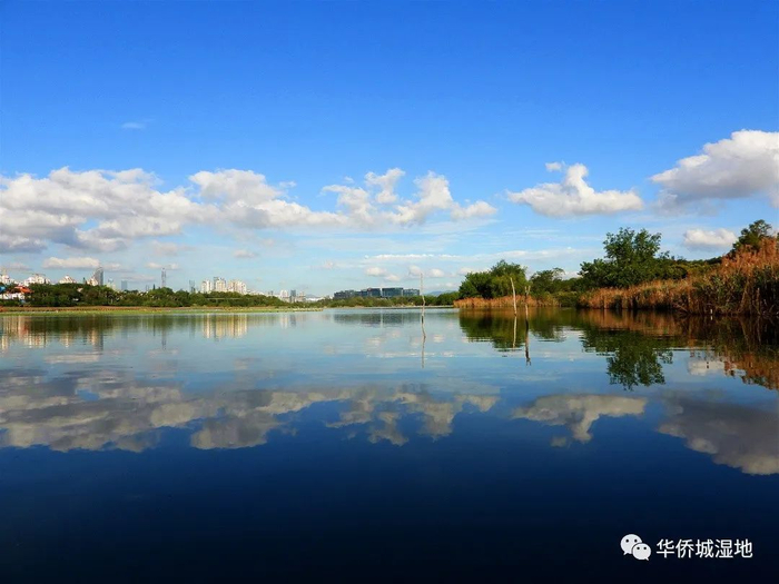 （图片来源：华侨城湿地微信公众号）