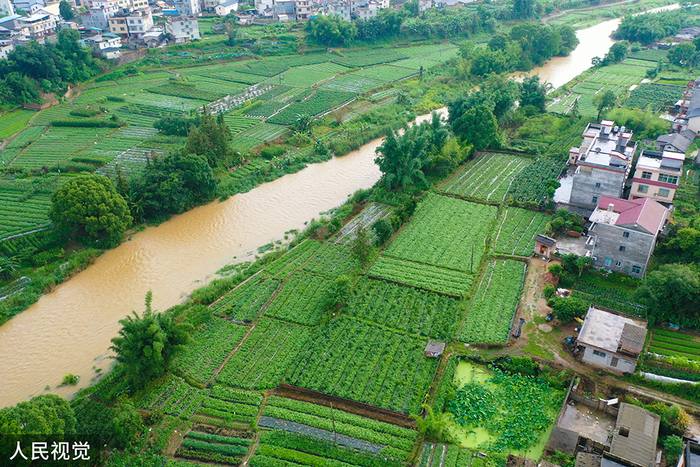 2022年5月28日，福建省龙岩市武平县中山镇太平村出现暴雨，连片农田受淹。修永清/人民视觉 图