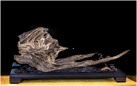 电白沉香（来源：茂名市电白区观珠镇人民政府）