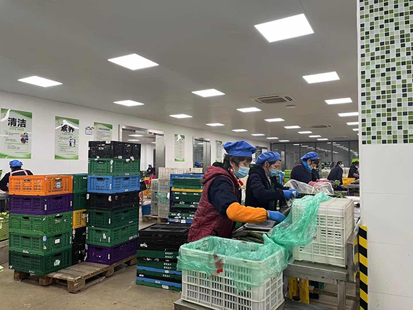 崇明生态农业有限公司车间内