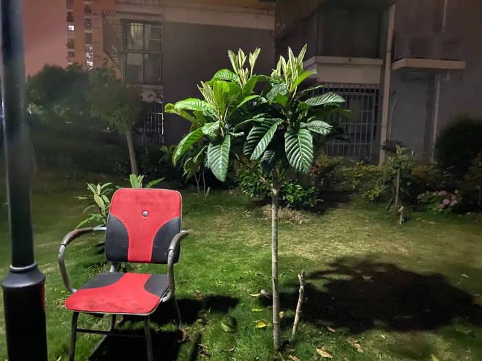 登登小区楼下的马尔代夫