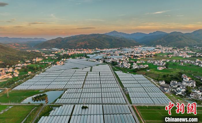 江西省赣州市于都县梓山镇潭头村，夕阳余晖映衬着整齐排列的蔬菜大棚。　朱海鹏 摄