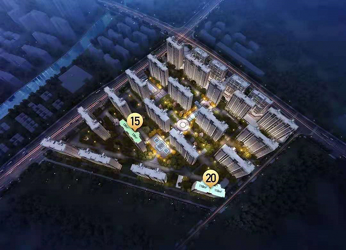 鸟瞰图 来源：项目释放