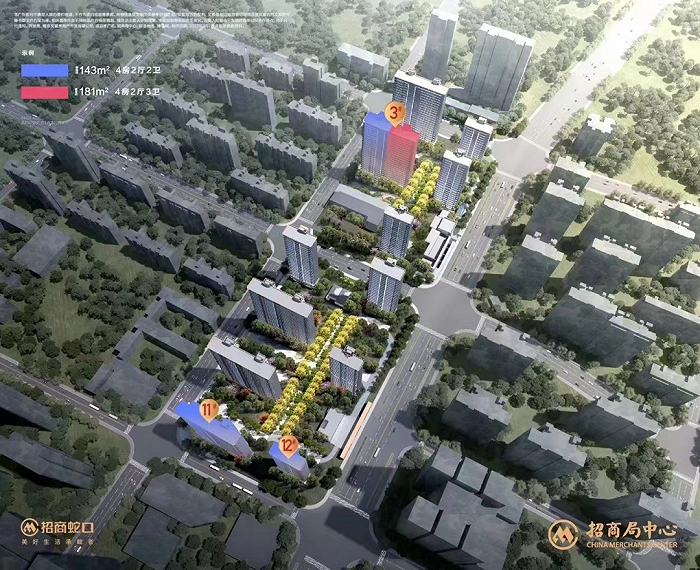 鸟瞰图 来源：项目释放