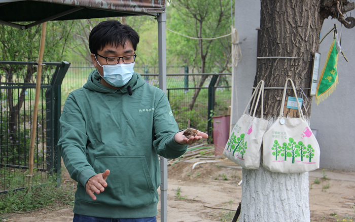 2022年4月，张勇在汉石桥湿地进行鸟类环志。受访者张勇供图