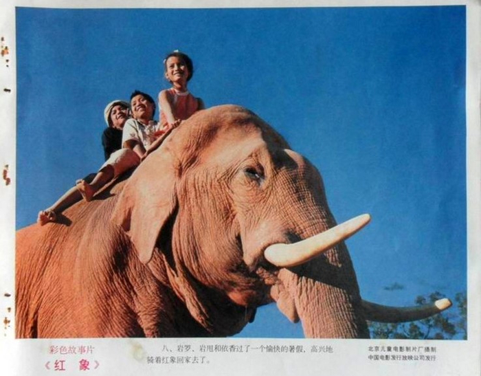《红象》剧照