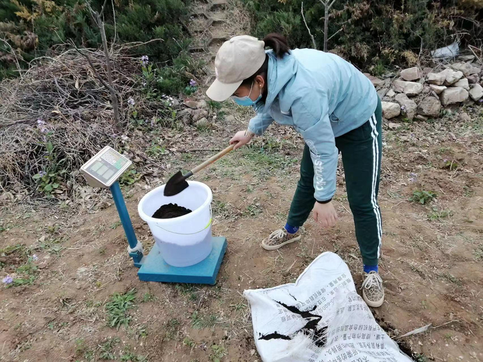 北寨科技小院学生进行施肥试验。受访者供图