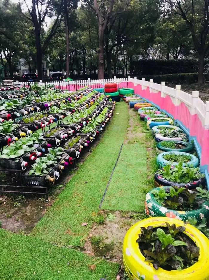 一眼望去，菜园里几百个瓶子都种着蔬菜&nbsp; 参考资料：澎湃新闻