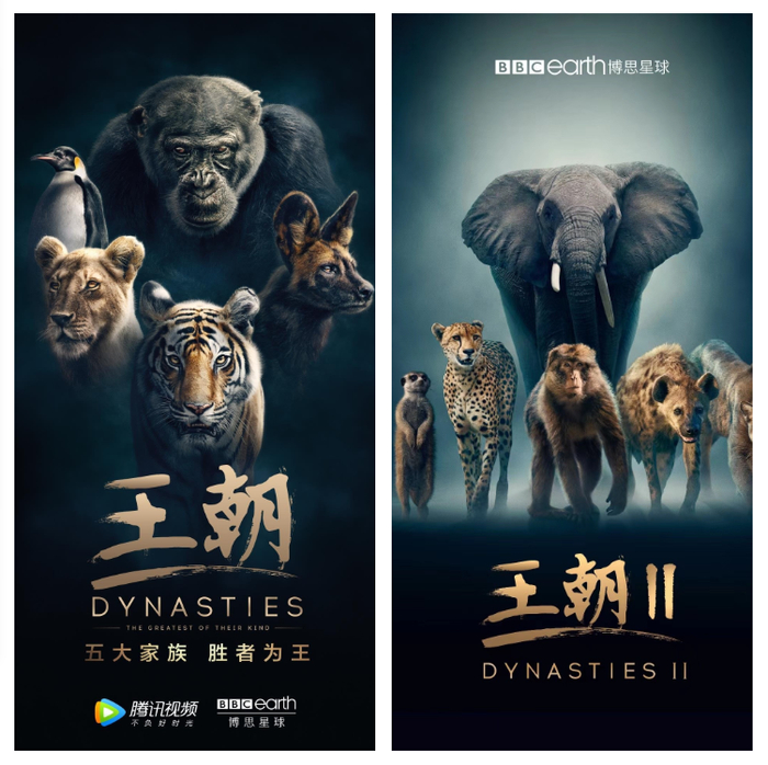 《王朝》《王朝II》海报