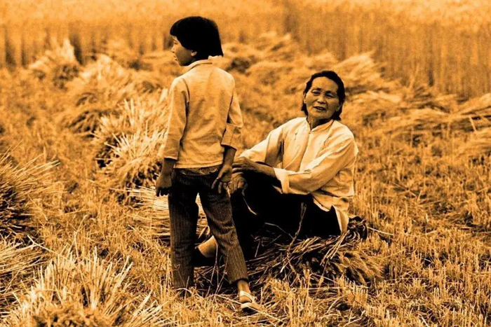 30年来我们都是怎么割麦的?一步一个脚印,这些老照片记录了一切