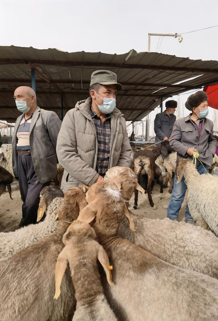 完成交易的人准备牵羊回家（3月22日摄）。新华社记者 何军 摄