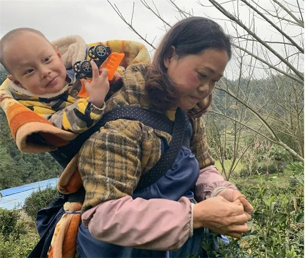 石阡县坪山乡大坪村茶农在采摘茶青。胡星 摄