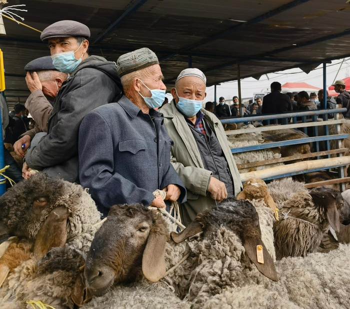 “牛羊巴扎”上的牧民正在等待买家（3月22日摄）。新华社记者 何军 摄