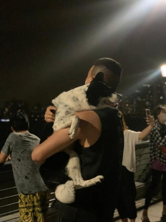 6月1日凌晨，外滩的人与狗。澎湃新闻记者 朱奕奕 图