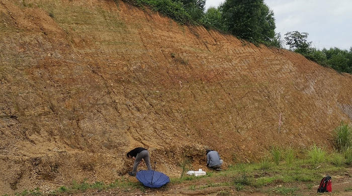 “西湾生物群”化石产地剖面