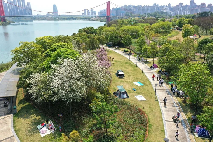 图片来源：新华社