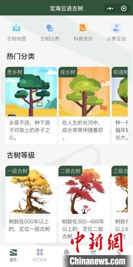 “云迹古树”平台。截图