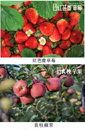 （来源：百果园招股说明书）