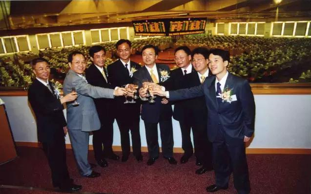 2002年比亚迪在香港上市