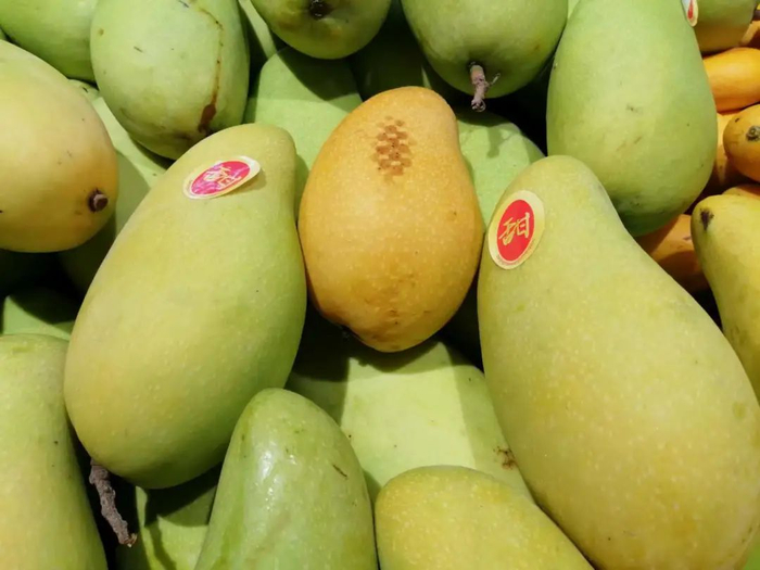 ▲芒果品种多样，果皮呈多种颜色。李建/摄