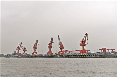 　　顺德新港一期有序运作。广州日报全媒体记者陈枫摄