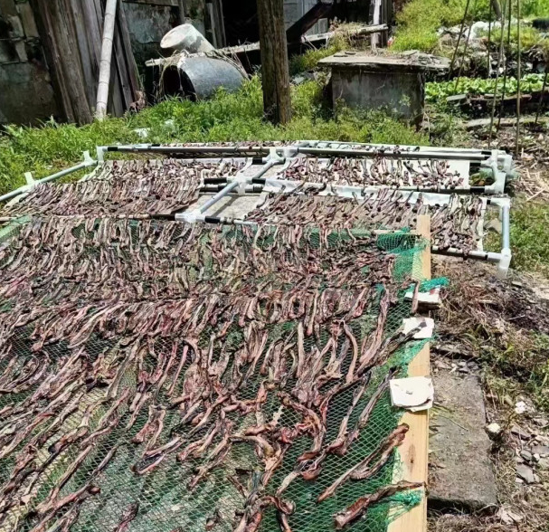 图片来源：大象新闻