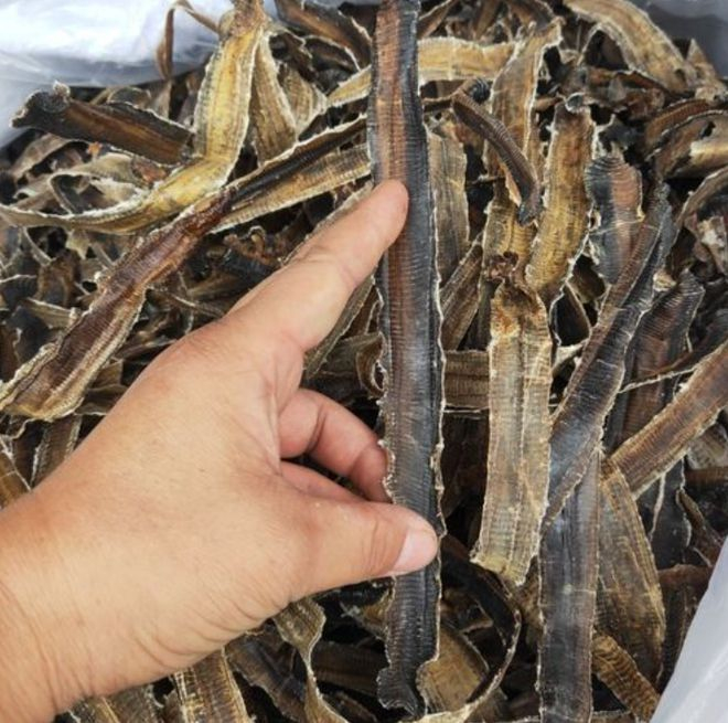 图片来源：大象新闻