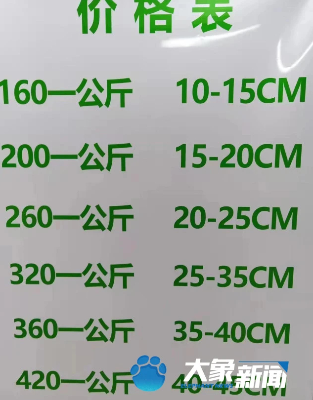 图片来源：大象新闻