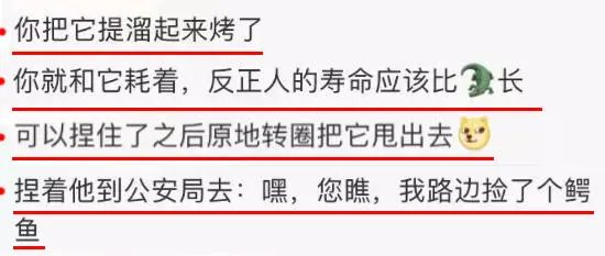 网友捏鳄鱼嘴，各显神通