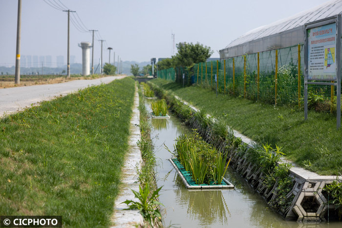 浙江湖州:生态沟渠绕田园|浙江省|OTO|南浔区|钱山下村|八里店镇_新浪新闻