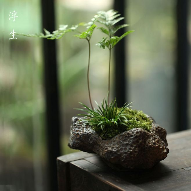 兰条荐浴,菖花酿酒,天气尚清和……|酿酒|天气|苏轼_新浪新闻