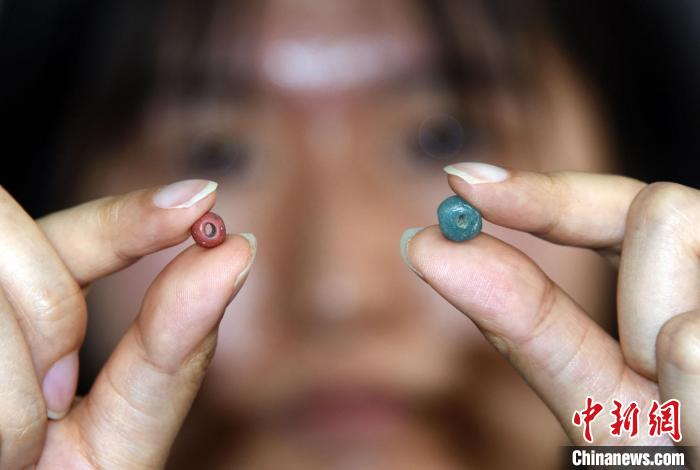 论文第一作者、中科院古脊椎动物与古人类研究所博士生徐思雯，展示本次研究的中原出土印太玻璃珠。　中新社记者  孙自法 摄