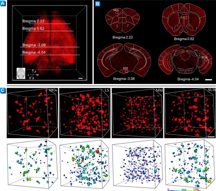 Photoshop怎么做荧光字 PS电商彩色荧光效果文字设计步骤