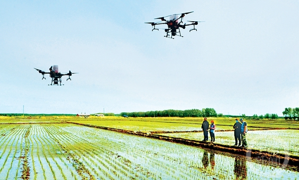 　　▲黑龙江省纪委监委驻北大荒农垦集团纪检监察组，督促集团各级公司以案促改，加强专业化建设。图片来源/中央纪委国家监委网站