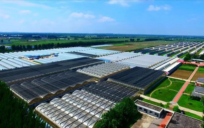 通州区于家务国际种业科技园区。受访者供图