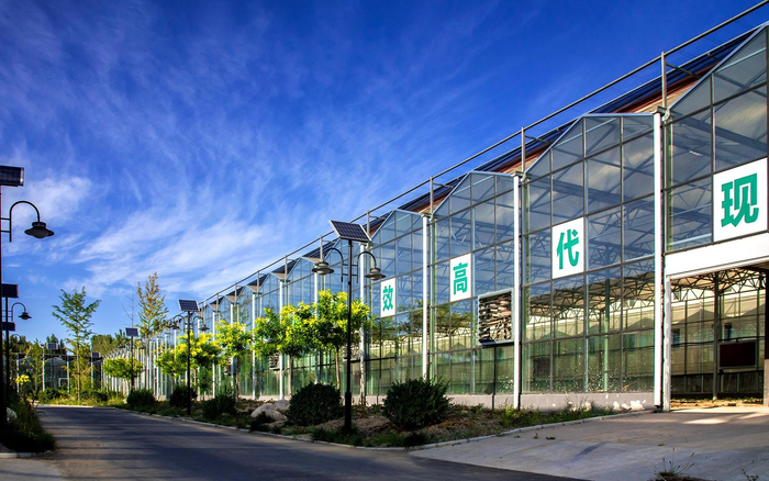 房山区现代农业产业园连栋温室种植基地。受访者供图