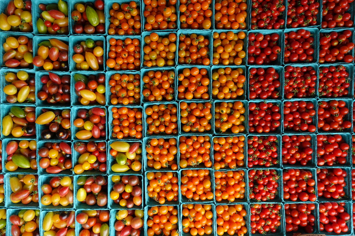 Rise & Root农场出产的樱桃番茄。