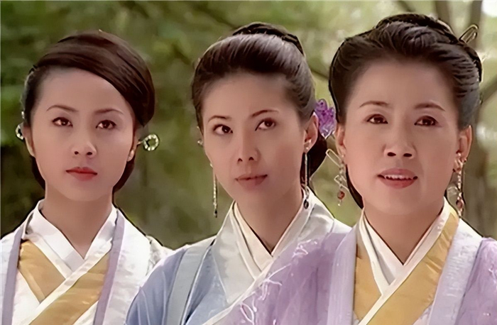 杨门女将:杨家十二寡妇都是谁?她们西征最后的结局如何?|杨门女将|佘赛花|杨家|杨业|杨家将|杨延辉|寡妇|主心骨|公主|结局_新浪新闻