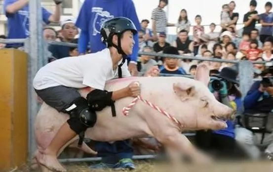 △来源：微博@日本物语