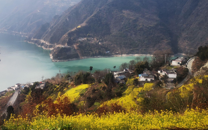 甘肃陇南文县碧口镇井地村，白龙江蜿蜒流淌，油菜花漫山遍野。资料图