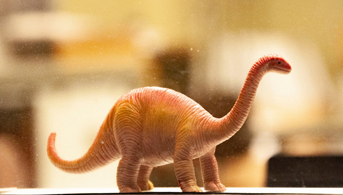 图片来源：Unsplash-Maria Oswalt