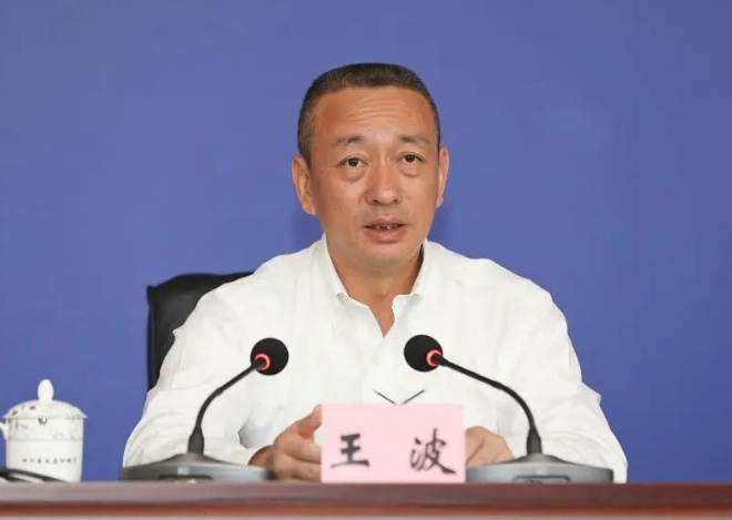 王波（资料图）